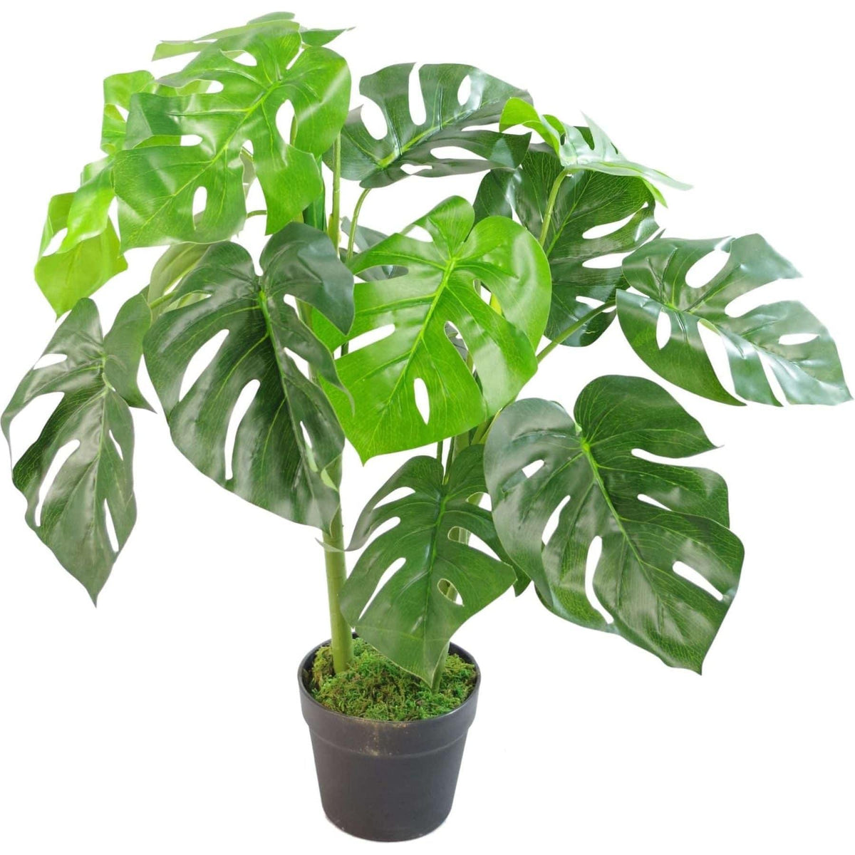 80cm Monstera Artificial Plant