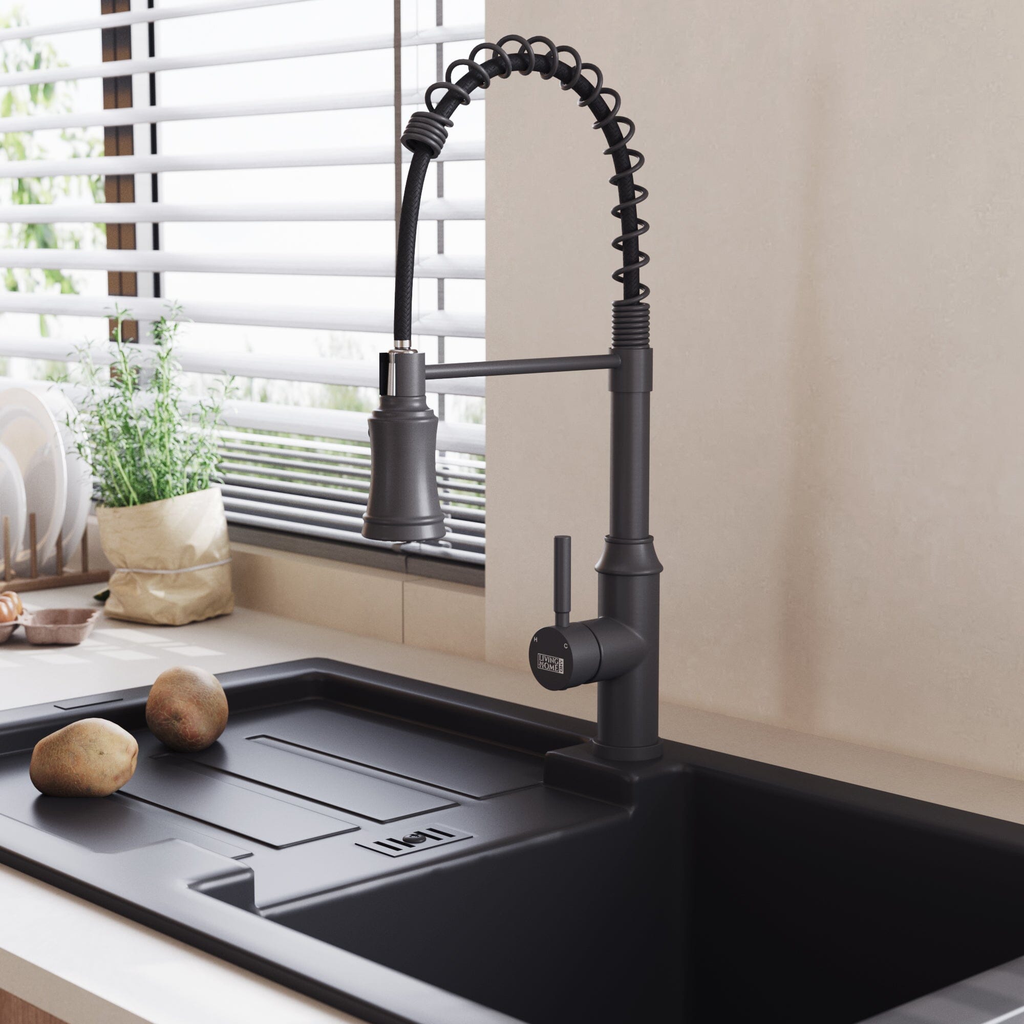 Single Handle Kitchen Faucet with Spring Spout