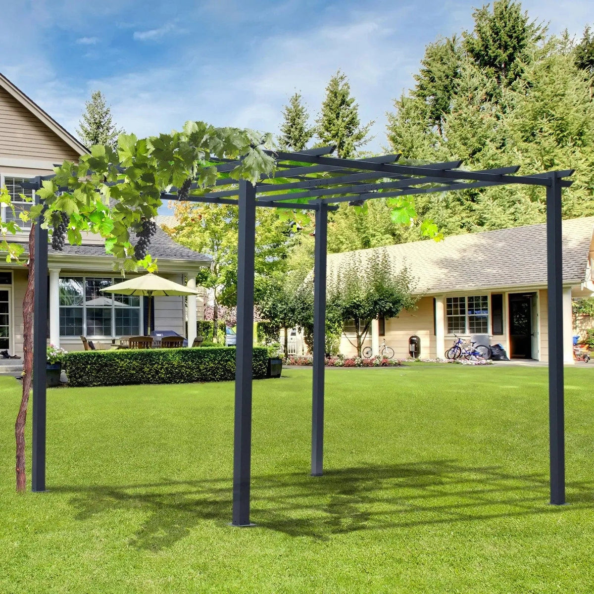 Green Haven 3x3m Metal Garden Pergola for Climbing Plants – Outsunny